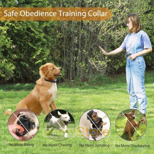 Dog shock Collar Training Bark E-Collar Electric Remote For Small Large Big Dogs