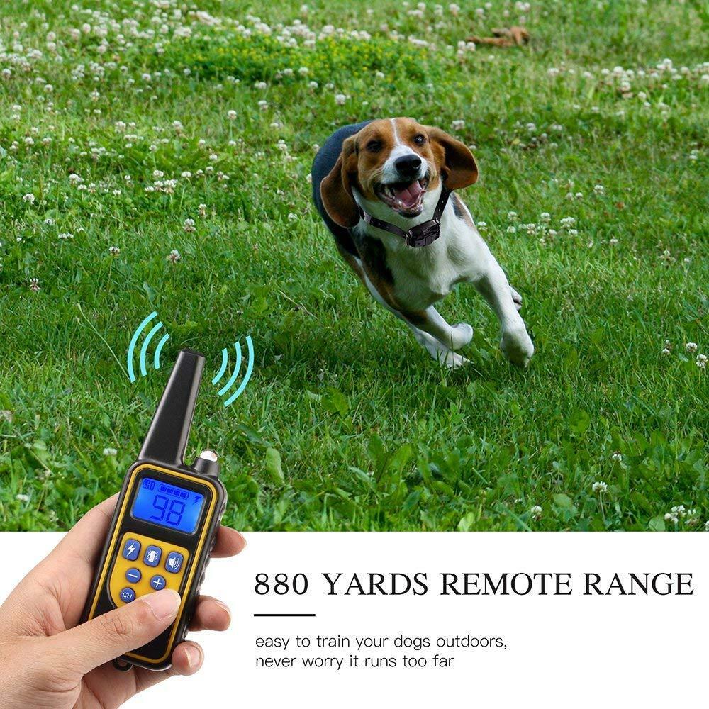 Waterproof Dog Training Electric Collar Rechargeable Remote Control 875 Yards