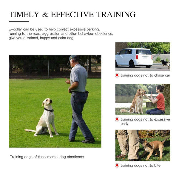 Waterproof Dog Training Electric Collar Rechargeable Remote Control 875 Yards